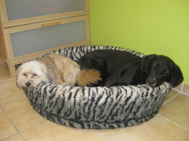 Gianni+Ronja