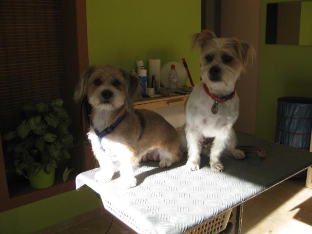 Lucas+Zoe